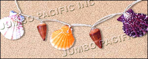 Assorted Shell Necklace